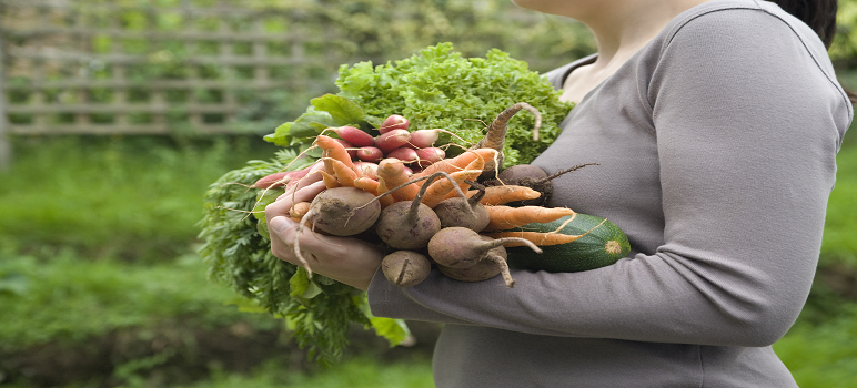 woman-holding-vegetables-grown-through-organic-farming-business