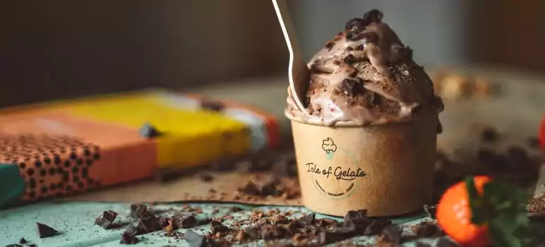 ice-cream-taster-kaise-bane