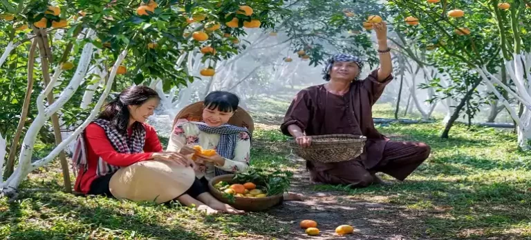 orange-farming-in-india-in-hindi