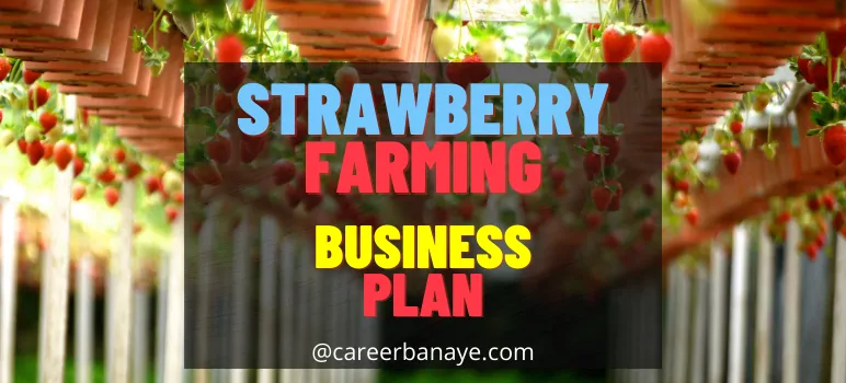 strawberry-in-hindi-strawberry-farming-business-plan-in-hindi