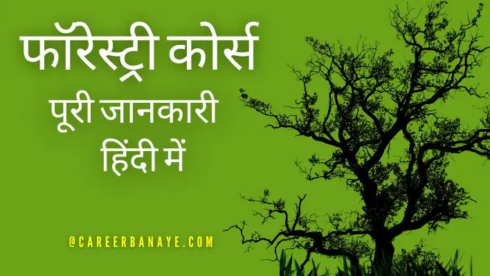 bsc-forestry-course-details-in-hindi-bsc-forestry-full-form